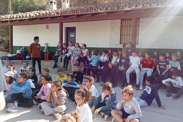 tagaste-los-olivos-17